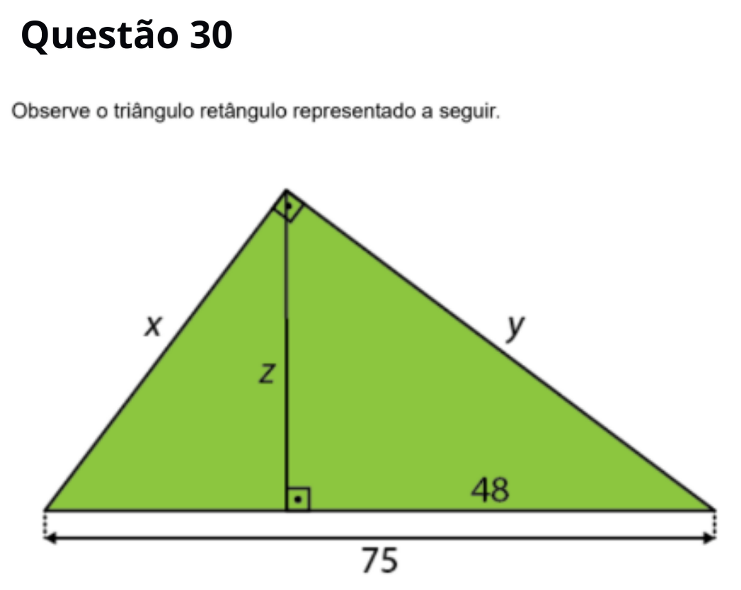 Questão 30
